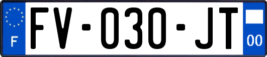 FV-030-JT