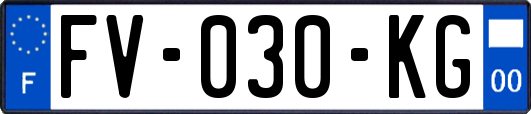 FV-030-KG