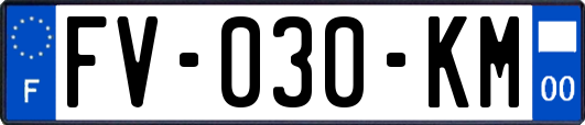 FV-030-KM