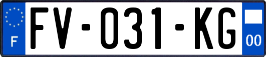 FV-031-KG