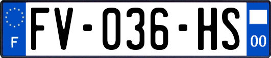 FV-036-HS