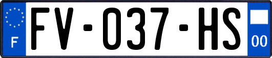 FV-037-HS