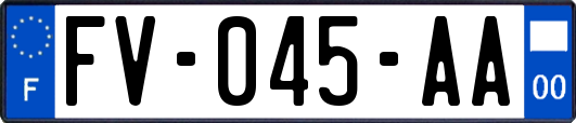 FV-045-AA