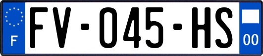 FV-045-HS