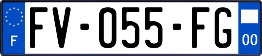 FV-055-FG