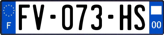 FV-073-HS