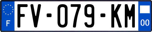 FV-079-KM