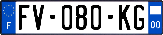 FV-080-KG