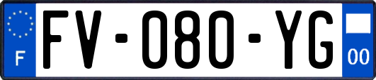 FV-080-YG
