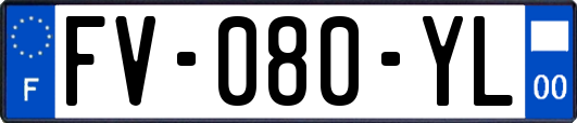 FV-080-YL