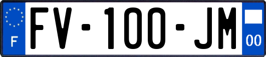 FV-100-JM