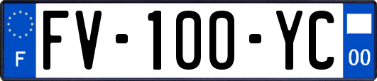 FV-100-YC