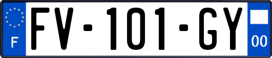 FV-101-GY