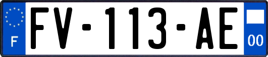 FV-113-AE