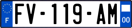 FV-119-AM