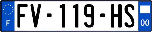 FV-119-HS