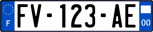 FV-123-AE