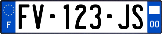 FV-123-JS