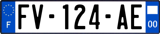 FV-124-AE