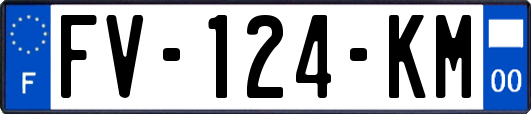 FV-124-KM