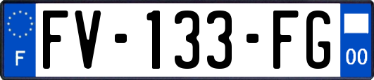 FV-133-FG