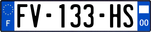 FV-133-HS