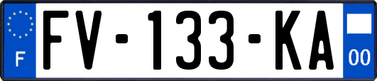 FV-133-KA