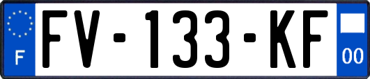 FV-133-KF