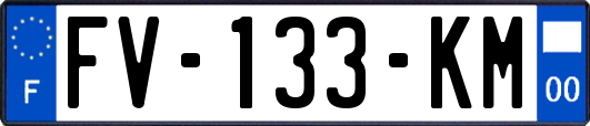 FV-133-KM