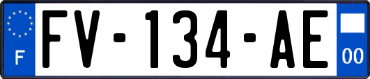 FV-134-AE