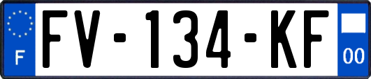 FV-134-KF