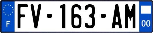 FV-163-AM