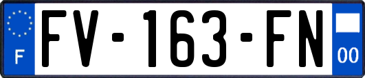 FV-163-FN
