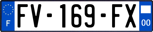 FV-169-FX