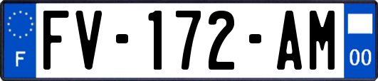 FV-172-AM