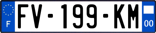 FV-199-KM