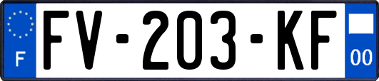 FV-203-KF