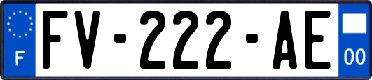 FV-222-AE