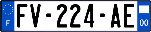 FV-224-AE