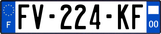 FV-224-KF