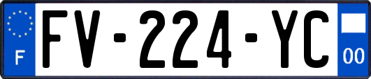 FV-224-YC