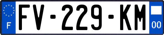 FV-229-KM