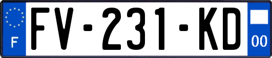 FV-231-KD