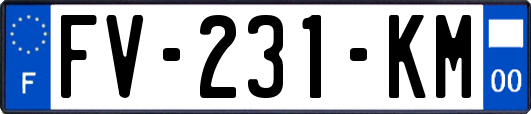 FV-231-KM
