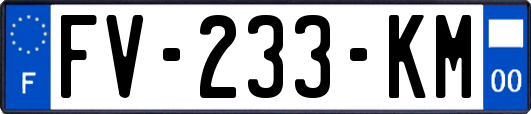 FV-233-KM