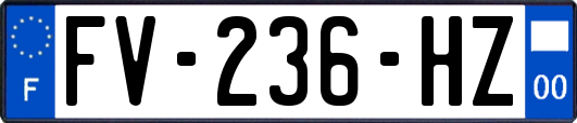 FV-236-HZ