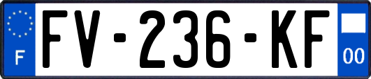 FV-236-KF