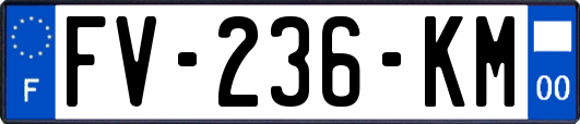 FV-236-KM