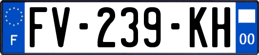 FV-239-KH