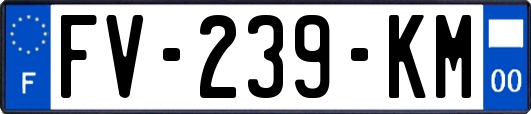 FV-239-KM